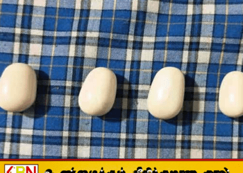 ரூ.2 கோடிக்கு விற்பனைக்கு வைத்திருந்ததாக கூறப்படும் 4 கஜமுத்துகளுடன் மூவர் கைது!