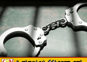 தெமட்டகொட பகுதியில் உள்நாட்டு துப்பாக்கிகள் மீட்பு; 4 பேர் கைது
