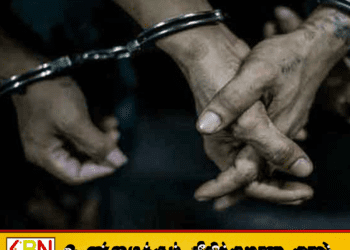 புதையல் அகழ்வில் ஈடுபட்ட மூவர் கைது