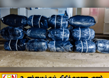 நீர்கொழும்பில் 477 கிலோ பீடி இலைகளுடன் இருவர் கடற்படையால் கைது!
