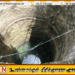 இரண்டரை மாத குழந்தையை கிணற்றில் வீசியதாக தாய் கைது!