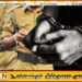தாயக எழுச்சிப் பாடலை எடிட் செய்து இணையத்தில் பதிவிட்ட பாடகர் யாழில் கைது