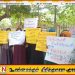 யாழ் பல்கலைக்கழக பேராசிரியர் உள்ளிட்ட இருவரால் மாணவிகள் துஸ்பிரயோகம்