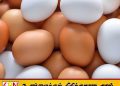 நாளை முதல் முட்டை விலை உயர்வு ;வெள்ளை ரூ.41, சிவப்பு ரூ.42