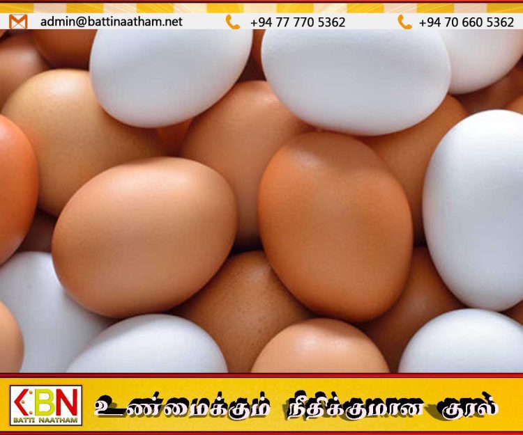 நாளை முதல் முட்டை விலை உயர்வு ;வெள்ளை ரூ.41, சிவப்பு ரூ.42