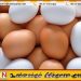 நாளை முதல் முட்டை விலை உயர்வு ;வெள்ளை ரூ.41, சிவப்பு ரூ.42