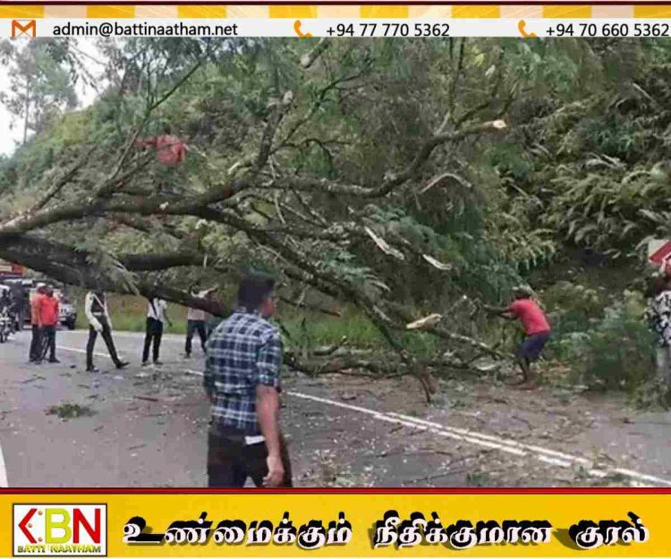 மல்லிகைப்பூ சந்தியில் முறிந்து விழுந்த மரம்; போக்குவரத்து கடும் பாதிப்பு!