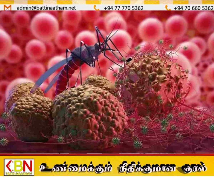 நாட்டில் டெங்கு நோயாளர்கள் 71,000-ஐக் கடந்தனர்; 49 உயிரிழப்புகள் பதிவு!