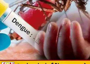 டெங்கு இரத்தக்கசிவால் 4 வயது சிறுமி உயிரிழப்பு!