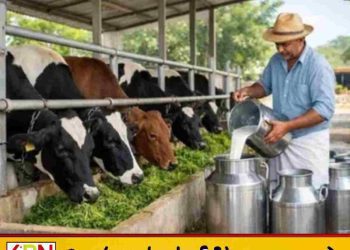‘டித்வா’ அனர்த்தத்தால் பாதிக்கப்பட்ட கால்நடைத் துறைக்கு விசேட அவசர நிவாரணத் திட்டம்!