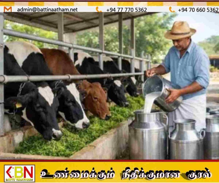 ‘டித்வா’ அனர்த்தத்தால் பாதிக்கப்பட்ட கால்நடைத் துறைக்கு விசேட அவசர நிவாரணத் திட்டம்!
