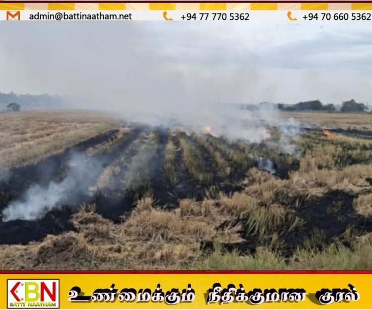 வைக்கோலுக்கு தீ வைப்பது அதிகரிப்பு; சுற்றுச்சூழலுக்கு கடும் அச்சுறுத்தல் என நிபுணர்கள் எச்சரிக்கை!