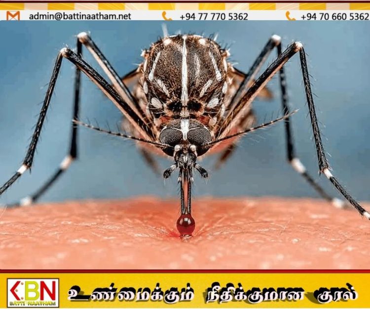 டெங்கு அபாயம் தீவிரம்; உயிரிழப்பு 62 ஆக அதிகரிப்பு!