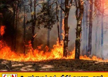 அதிக வெப்பம்; பல மாவட்டங்களில் காட்டுத்தீ அபாயம் அதிகரிப்பு!