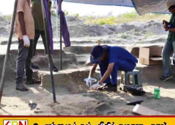 செம்மணி மனித புதைகுழி; மேலும் இரு சிறுவர்களின் எலும்புக்கூடுகள் அடையாளம்!