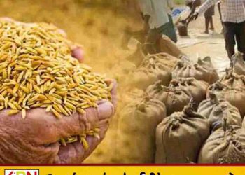 நெல் கொள்வனவில் அம்பாறை முன்னிலை; 148 களஞ்சியங்கள் திறக்க திட்டம்!