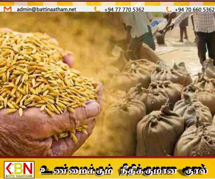 நெல் கொள்வனவில் அம்பாறை முன்னிலை; 148 களஞ்சியங்கள் திறக்க திட்டம்!