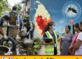 டெங்கு நோயாளர்களின் எண்ணிக்கை அதிகரிப்பு; 61 உயிரிழப்புகள் பதிவு!