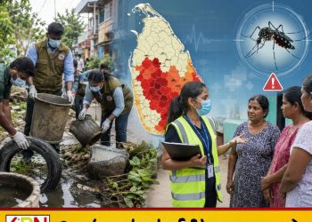 டெங்கு நோயாளர்களின் எண்ணிக்கை அதிகரிப்பு; 61 உயிரிழப்புகள் பதிவு!