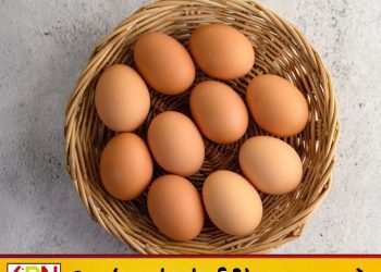முட்டையின் விலையில் ஏற்பட்ட திடீர் மாற்றம்