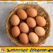 முட்டையின் விலையில் ஏற்பட்ட திடீர் மாற்றம்