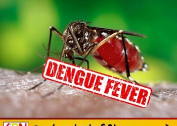 டெங்கு அபாயம் தீவிரம்; 7 மாதங்களில் 82,838 பேர் பாதிப்பு!
