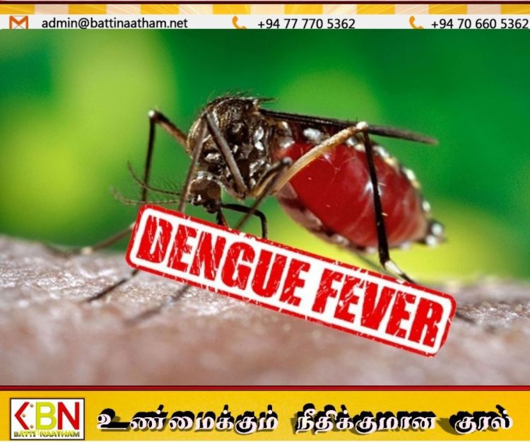 டெங்கு அபாயம் தீவிரம்; 7 மாதங்களில் 82,838 பேர் பாதிப்பு!
