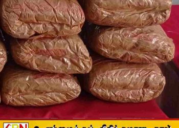 ஆழியவளையில் பாழடைந்த கட்டிடத்திலிருந்து 14.5 கிலோ கஞ்சா மீட்பு!