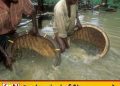 களு கங்கையில் சட்டவிரோத மாணிக்கக்கல், மணல் அகழ்வுக்கு அதிரடி முற்றுகை; 25 பேர் கைது