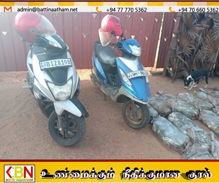 மன்னாரில் 14 ஆயிரம் கடல் அட்டைகள் பறிமுதல்; 9 பேர் கைது