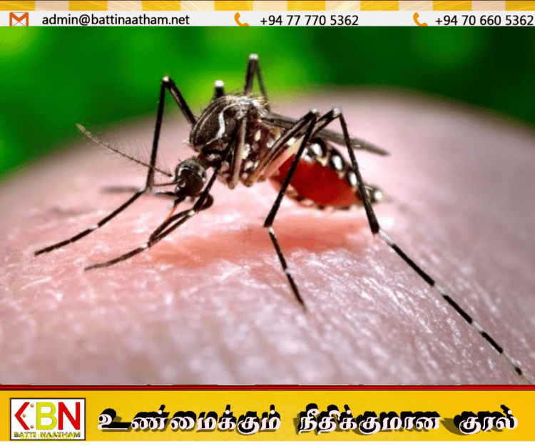 நாட்டில் டெங்கு பாதிப்பு 70,000ஐ நெருங்கியது; ஒரே நாளில் 1,279 பேர் பாதிப்பு!