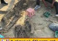 செம்மணி மனிதப் புதைகுழி அகழ்வு; மேலும் 6 என்புக்கூடுகள் மீட்பு!