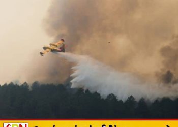 42 ஆயிரம் ஹெக்டேர் காடுகள் சாம்பல்; பிரான்ஸில் பெரும் காட்டுத்தீயால் பரபரப்பு!