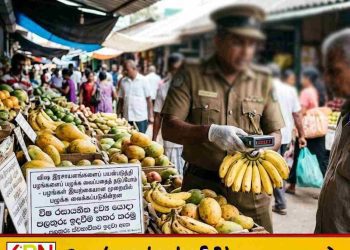 இரசாயனம் மூலம் பழங்களைப் பழுக்க வைப்பதைத் தடுக்கத் திட்டம்!