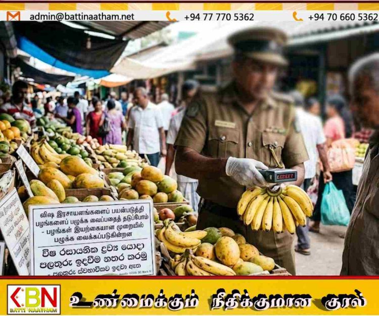 இரசாயனம் மூலம் பழங்களைப் பழுக்க வைப்பதைத் தடுக்கத் திட்டம்!