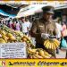 இரசாயனம் மூலம் பழங்களைப் பழுக்க வைப்பதைத் தடுக்கத் திட்டம்!