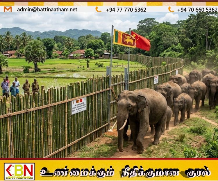 யானை – மனித மோதலுக்கு தீர்வு – யானைகளை தடுக்க மூங்கில் அரண்; இலங்கைக்கு சீனா வழங்கும் புதிய தொழில்நுட்ப உதவி!