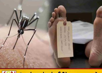 டெங்கு தீவிரம் – 56 மரணங்கள்; நோயாளர்கள் எண்ணிக்கை 77 ஆயிரத்தை கடந்தது!