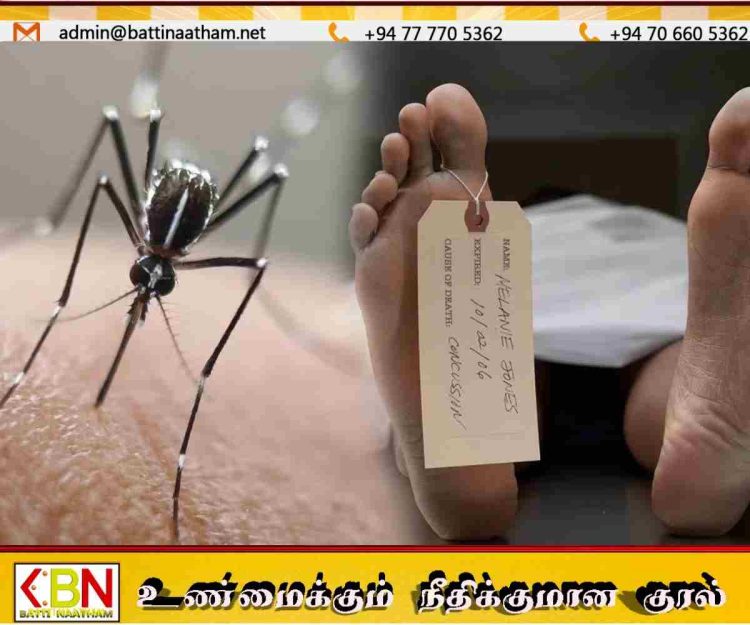 டெங்கு தீவிரம் – 56 மரணங்கள்; நோயாளர்கள் எண்ணிக்கை 77 ஆயிரத்தை கடந்தது!