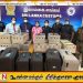 கட்டுநாயக்க விமான நிலையத்தில் 64 புறாக்களை கடத்தி வந்தவர் கைது