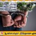திருக்கோவில் பகுதியில் ஐஸ் போதை பொருளுடன் ஒருவர் கைது