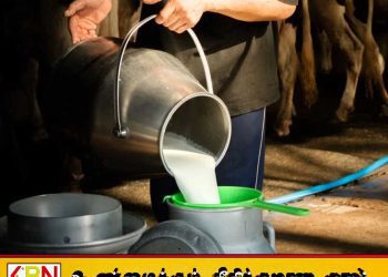 பால் உற்பத்தியை அதிகரிக்க ரூ.1000 மில்லியன் ஒதுக்கீடு