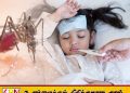டெங்கு மரணங்களில் பெண்களே அதிகம்; அறிகுறி தென்பட்டவுடன் சிகிச்சை பெறுமாறு அறிவுறுத்தல்