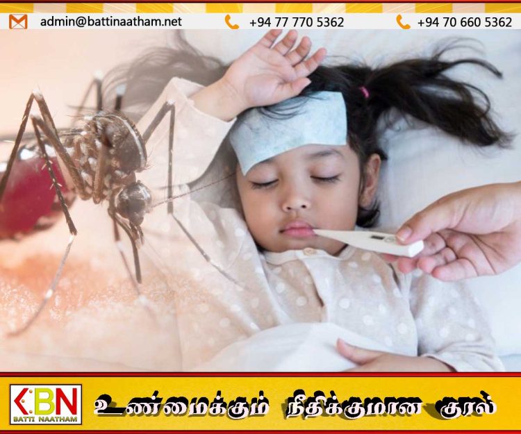 டெங்கு மரணங்களில் பெண்களே அதிகம்; அறிகுறி தென்பட்டவுடன் சிகிச்சை பெறுமாறு அறிவுறுத்தல்