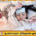 டெங்கு மரணங்களில் பெண்களே அதிகம்; அறிகுறி தென்பட்டவுடன் சிகிச்சை பெறுமாறு அறிவுறுத்தல்