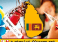 62 ஆயிரத்தை கடந்த டெங்கு நோயாளர்கள் பதிவு