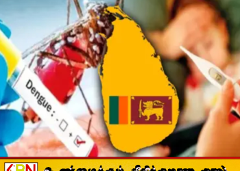 62 ஆயிரத்தை கடந்த டெங்கு நோயாளர்கள் பதிவு