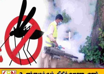 மேல் மாகாணத்தில் நாளை முதல் விசேட டெங்கு ஒழிப்பு நடவடிக்கை