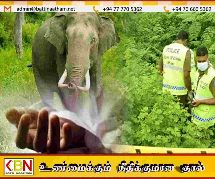 சூரியபுரவில் காட்டு யானை தாக்கி 45 வயது நபர் உயிரிழப்பு!