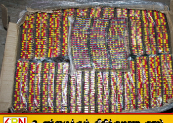 கற்பிட்டியில் சட்டவிரோதமாக கொண்டுவரப்பட்ட மருந்து மாத்திரைகளுடன் ஒருவர் கைது